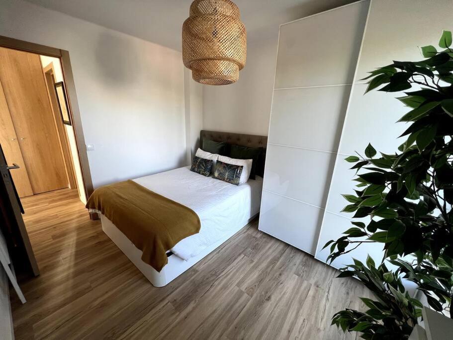 Penthouse Terraco De Coimbra Appartement Buitenkant foto
